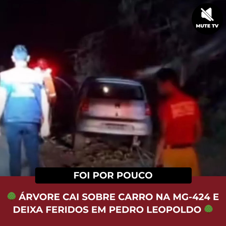 ÁRVORE CAI SOBRE CARRO NA MG-424 E DEIXA FERIDOS EM PEDRO LEOPOLDO
