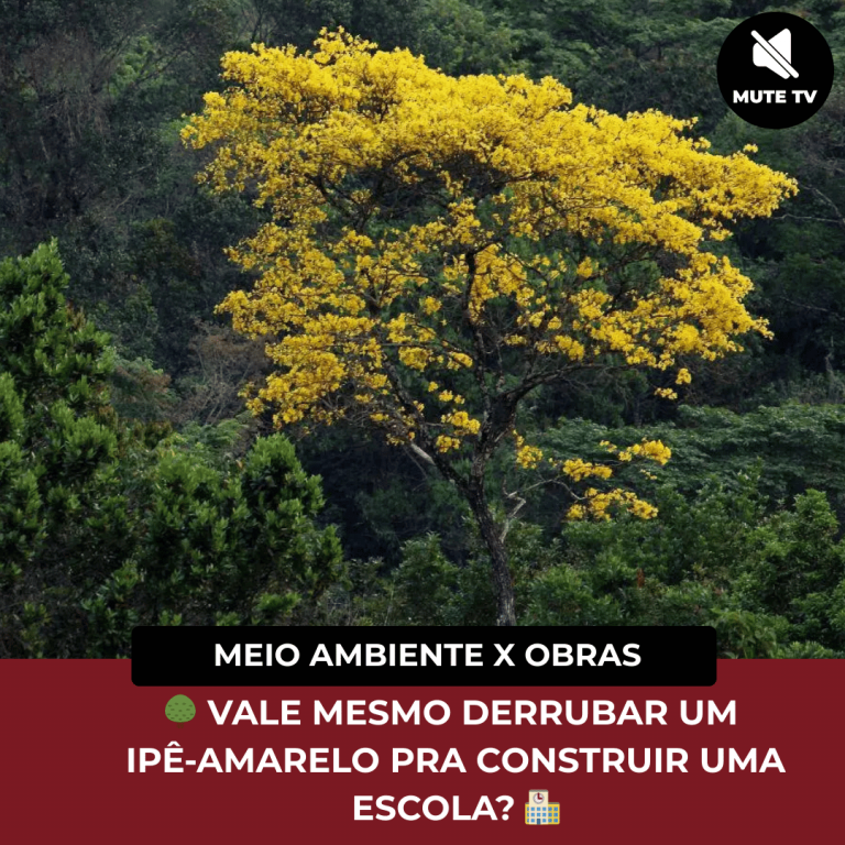 VALE MESMO DERRUBAR UM IPÊ-AMARELO PRA CONSTRUIR UMA ESCOLA?