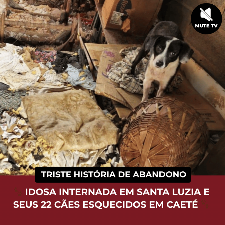 🐾 IDOSA INTERNADA EM SANTA LUZIA E SEUS 22 CÃES ESQUECIDOS EM CAETÉ 🐾