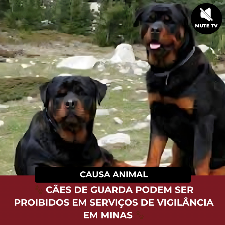 CÃES DE GUARDA PODEM SER PROIBIDOS EM SERVIÇOS DE VIGILÂNCIA EM MINAS
