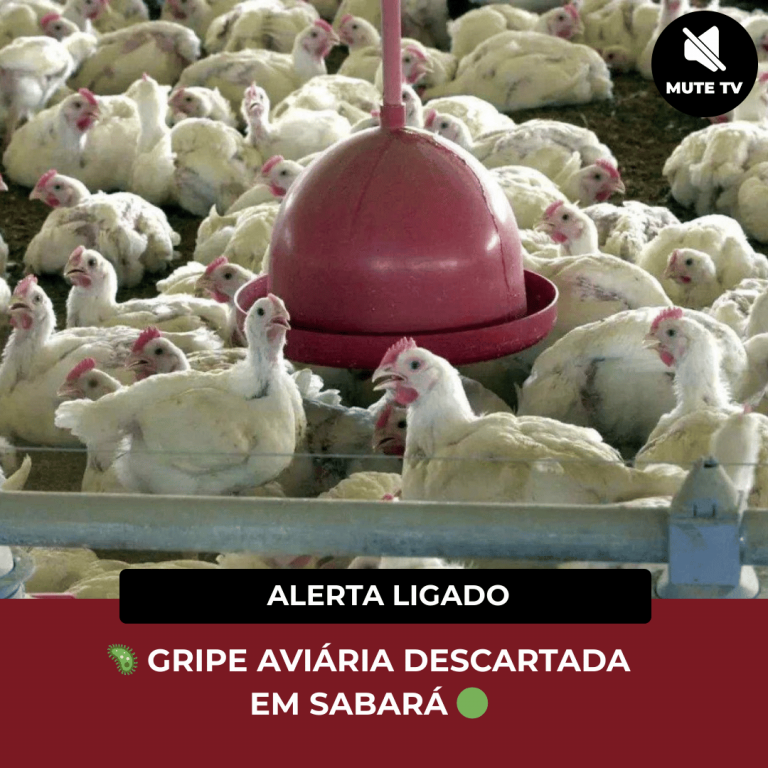 🦠 GRIPE AVIÁRIA DESCARTADA EM SABARÁ, MAS ALERTA SEGUE ATIVO 🟢