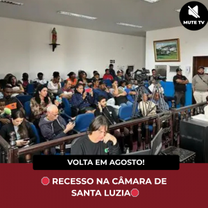 Leia mais sobre o artigo Câmara Municipal de Santa Luzia entra em recesso parlamentar até agosto