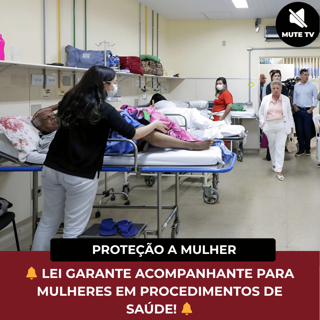 Leia mais sobre o artigo Saúde das Mulheres : Nova Lei Garante Direito a Acompanhante em Procedimentos de Saúde em Minas Gerais (2025)