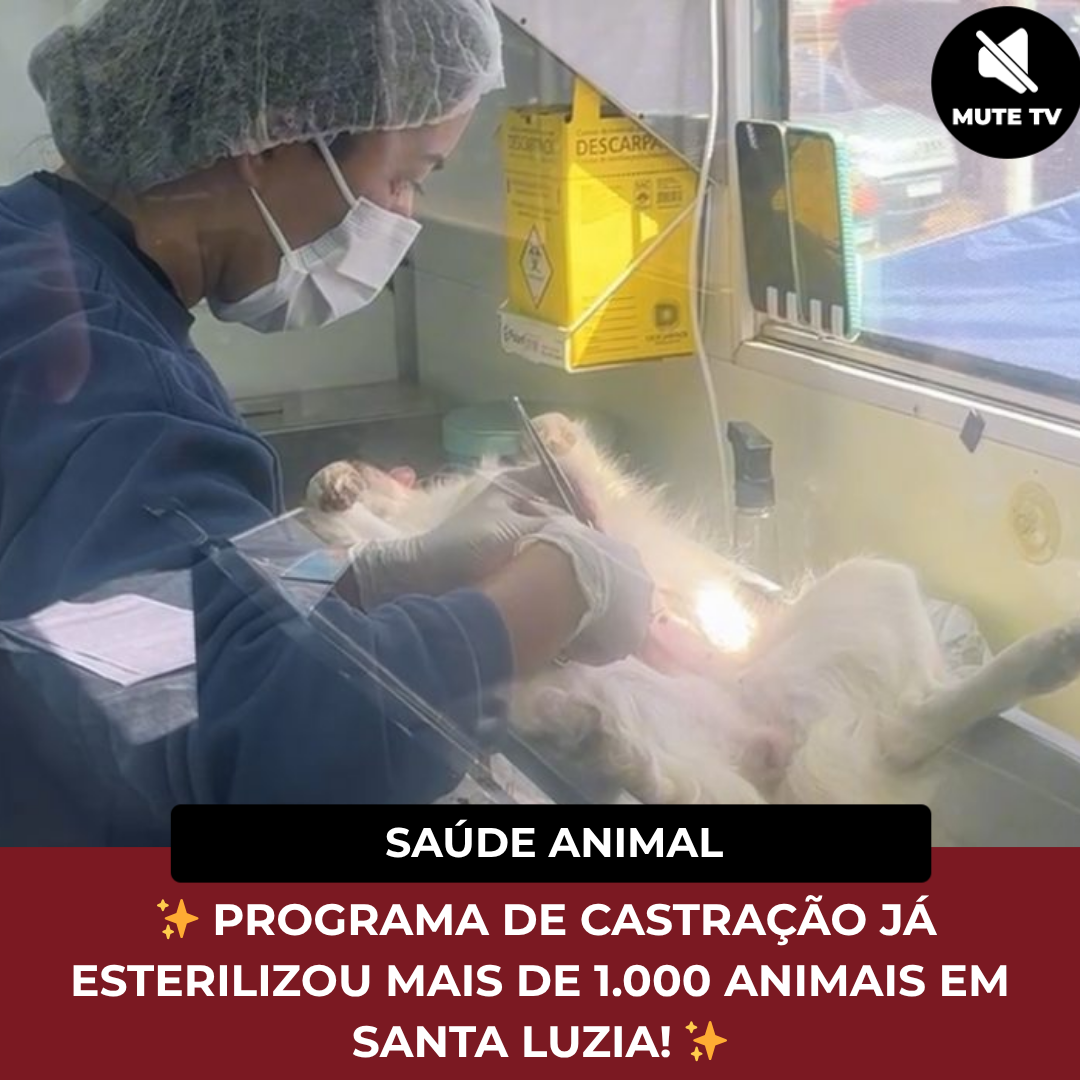 Leia mais sobre o artigo Castração de animais em Santa Luzia Esteriliza Mais de Mil Animais e Promete Dobrar Resultados Até o Fim do Ano de 2025