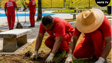 Trabalho de Detentos: Projeto sobre trabalho de detentos em atividades públicas recebe veto em Santa Luzia 4 Trabalhadores realizando serviços de manutenção urbana em espaço público