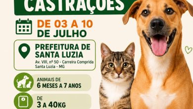 Mutirão de castração gratuita abre inscrições para 1.000 cães e gatos em Santa Luzia 2 WhatsApp Image 2026 06 30 at 13.28.32